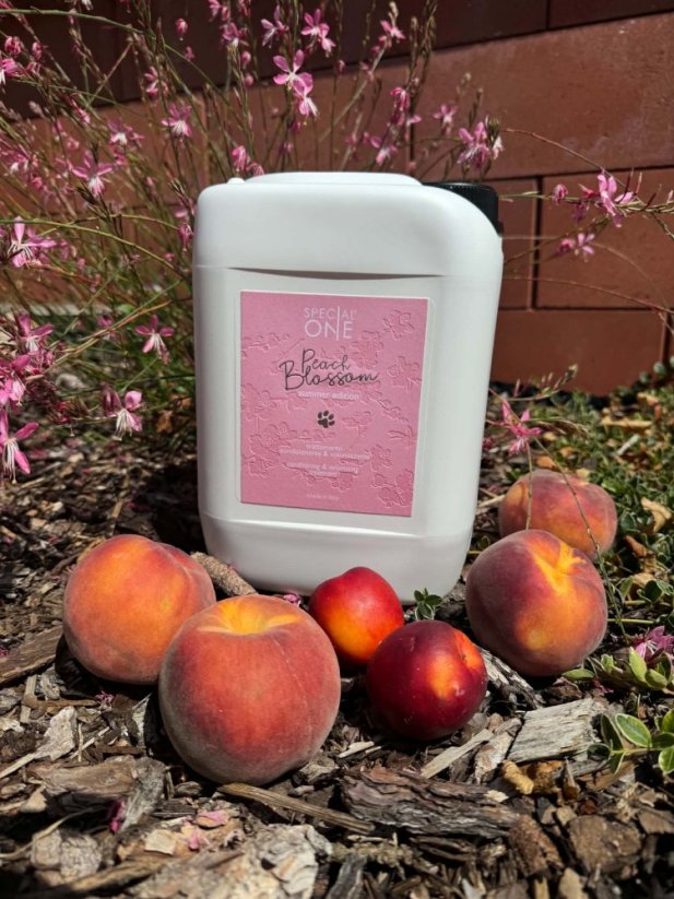 Šampon pro psy  Peach Blossom  5000 ml