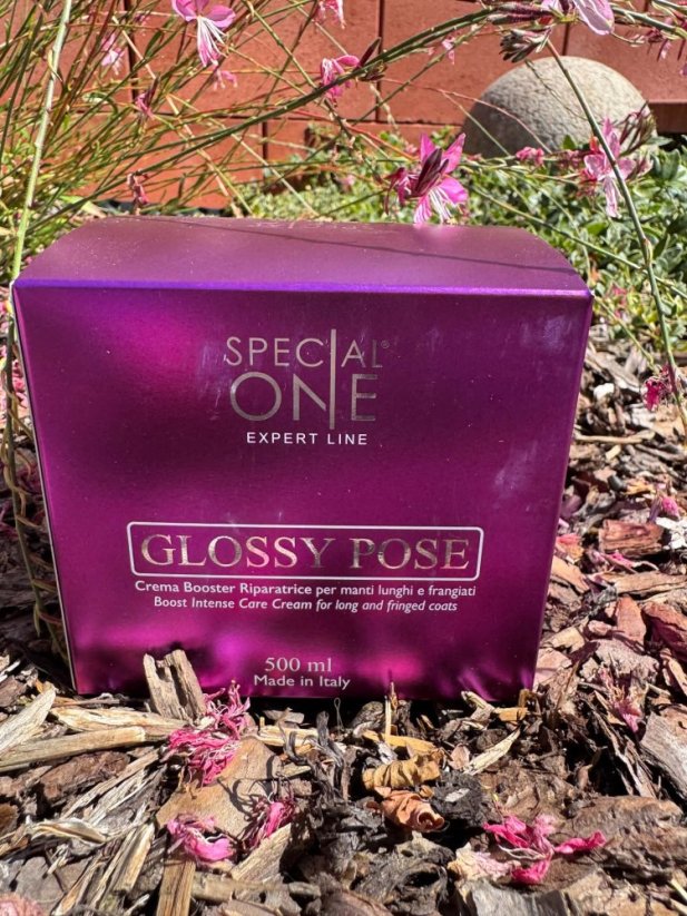 Kondicioner Glossy Pose, 500 ml